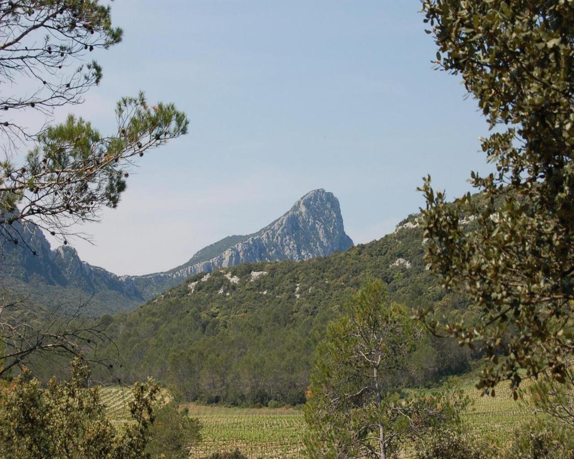Domaine Du Bois Gite Marion Galargues Εξωτερικό φωτογραφία
